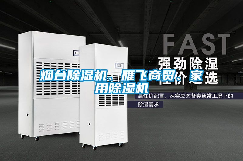 煙臺除濕機、雁飛商貿(mào)、家用除濕機