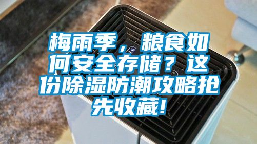 梅雨季，糧食如何安全存儲(chǔ)？這份除濕防潮攻略搶先收藏!