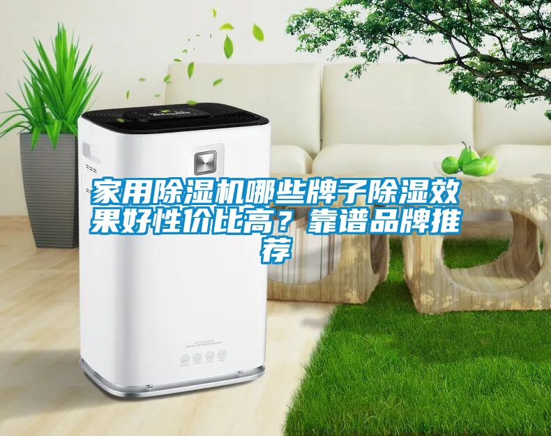 家用除濕機(jī)哪些牌子除濕效果好性價(jià)比高？靠譜品牌推薦
