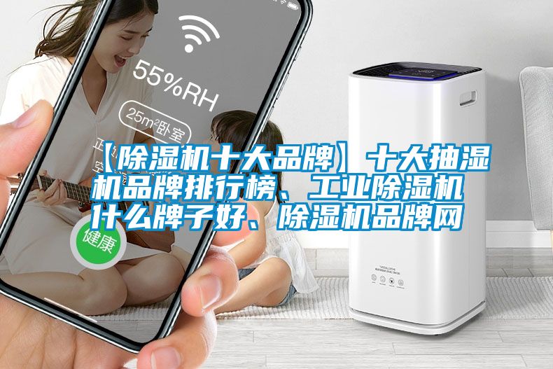 【除濕機十大品牌】十大抽濕機品牌排行榜、工業(yè)除濕機什么牌子好、除濕機品牌網(wǎng)