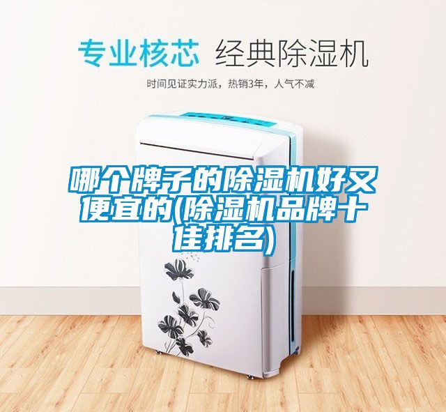 哪個牌子的除濕機(jī)好又便宜的(除濕機(jī)品牌十佳排名)