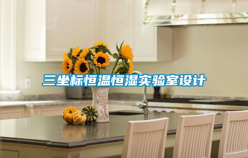 三坐標(biāo)恒溫恒濕實(shí)驗(yàn)室設(shè)計