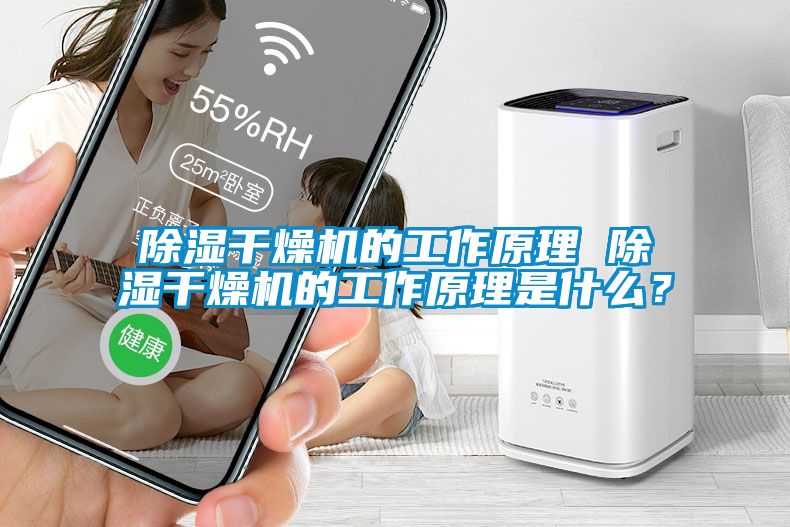 除濕干燥機的工作原理 除濕干燥機的工作原理是什么？