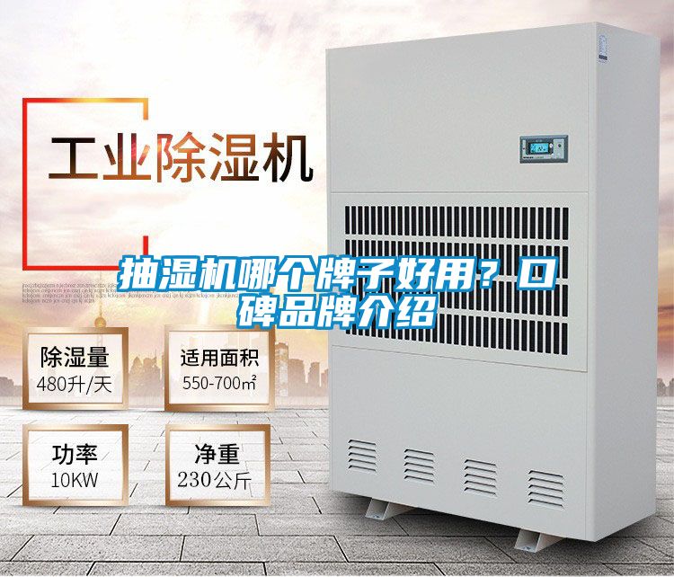 抽濕機哪個牌子好用？口碑品牌介紹