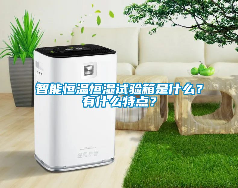 智能恒溫恒濕試驗(yàn)箱是什么？有什么特點(diǎn)？