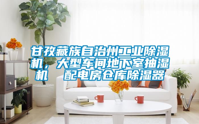甘孜藏族自治州工業(yè)除濕機，大型車間地下室抽濕機  配電房倉庫除濕器