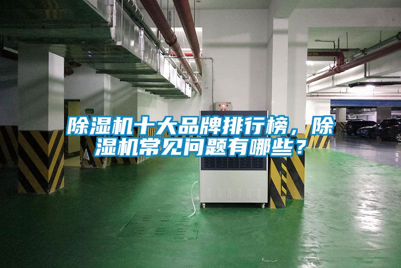 除濕機(jī)十大品牌排行榜，除濕機(jī)常見問題有哪些？