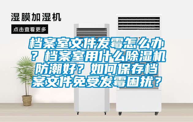檔案室文件發霉怎么辦？檔案室用什么除濕機防潮好？如何保存檔案文件免受發霉困擾？