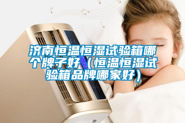 濟(jì)南恒溫恒濕試驗(yàn)箱哪個牌子好（恒溫恒濕試驗(yàn)箱品牌哪家好）