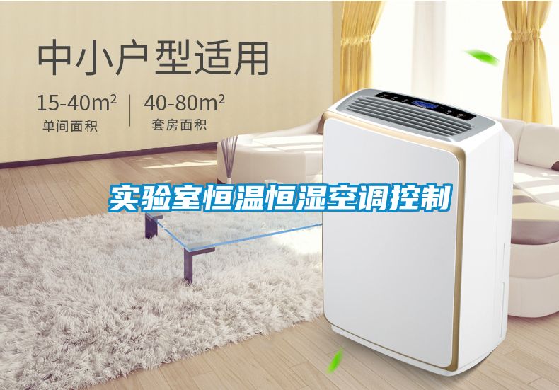 實(shí)驗室恒溫恒濕空調(diào)控制
