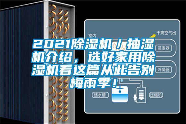 2021除濕機／抽濕機介紹，選好家用除濕機看這篇從此告別梅雨季！