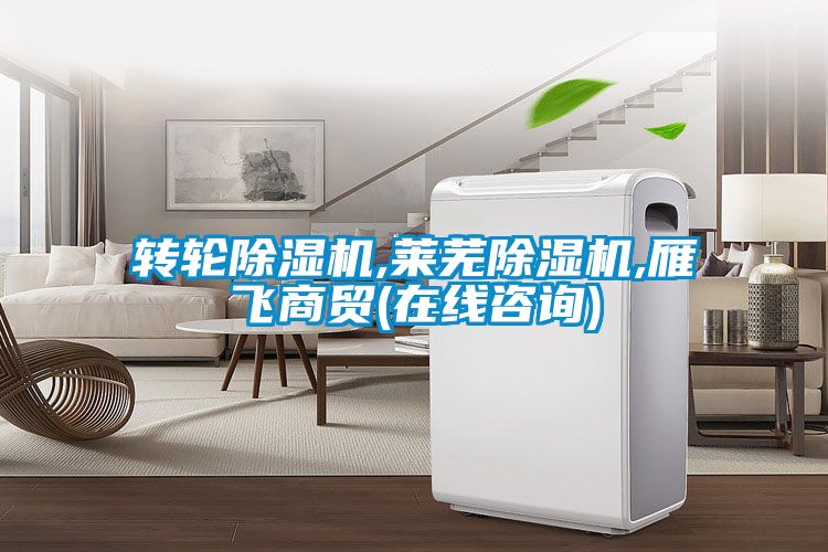 轉(zhuǎn)輪除濕機(jī),萊蕪除濕機(jī),雁飛商貿(mào)(在線(xiàn)咨詢(xún))