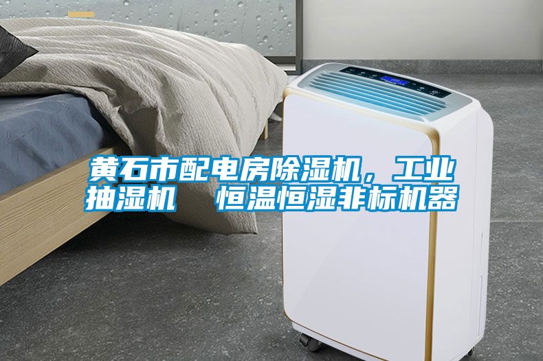 黃石市配電房除濕機，工業(yè)抽濕機  恒溫恒濕非標(biāo)機器